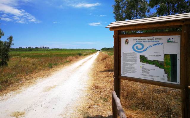 Ambiente: riaperti i sentieri delle Riserve naturali Orientate "Simeto" e "Fiumefreddo"